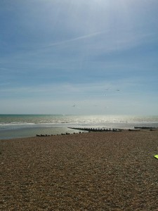 IMG_20160503_141911 IMG_20160503_141911