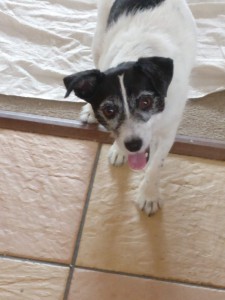 IMG_20180905_113830bon IMG_20180905_113830bon