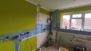 IMG_20210504_113650 IMG_20210504_113650